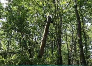 Banorët e fshatit Gadishë të Gjilanit në hall me përçuesit elektrikë