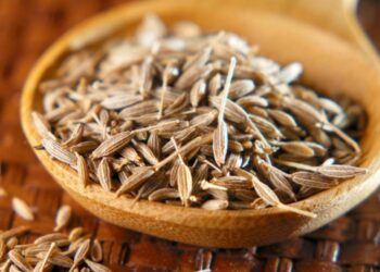 Erëza e veçantë shëndetit dhe katër vlerat shëruese për organizmin