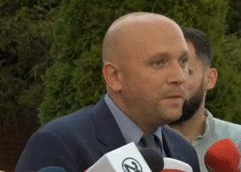 ​Sarrazin: Nevojiten kompromise jo të lehta mes Kosovës dhe Serbisë