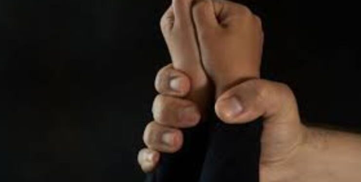 Dyshimi për sulm seksual ndaj 7 vjeçares, detaje nga rasti