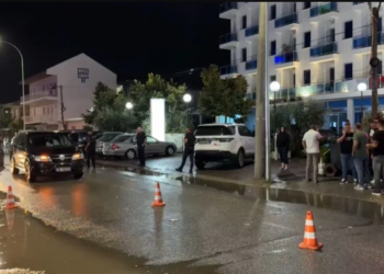 Arrestohen 2 persona për vrasjen e dyfishtë në Velipojë