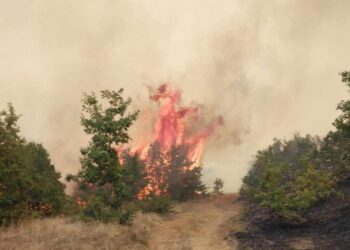 Zjarret malore në Podujevë po shkojnë në drejtim të Potokut