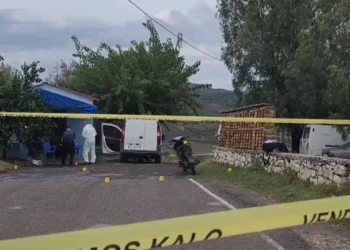 Vriten xhaxha dhe nip, autori vetëdorëzohet në Polici