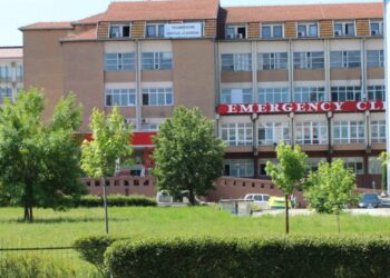 ShSKUK kërkon që me urgjencë të trajtohen qentë endacak në oborrin e saj