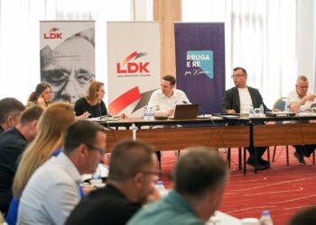 LDK-ja me punëtori dyditore, përgatitje për zgjedhjet e 9 shkurtit