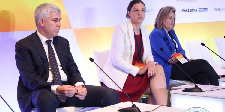 Rizvanolli: Lëndët e para s’duhet të sigurohen duke forcuar regjime destabilizuese