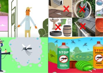 Katër raste të etheve të Nilit në Kosovë: Si shfaqet virusi e si ta parandaloni?