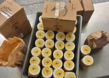 Konfiskohet mjaltë në aeroportin e Prishtinës