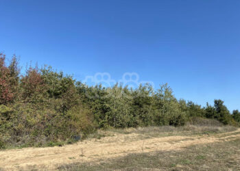 Një i arrestuar për drogën në Pejë dhe 6 të tjerë në kërkim