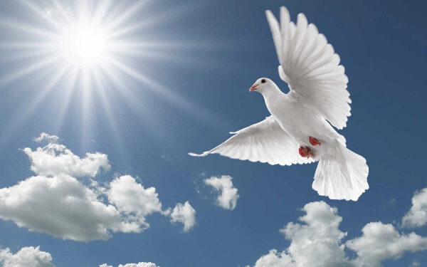 ​Dita Ndërkombëtare e Paqes