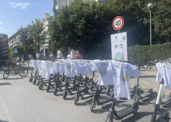 Sot Dita Ndërkombëtare pa Makina