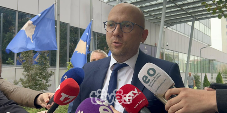 Sarrazin: Kosova rrezikon izolim më të thellë për shkak të ndalimit të importeve serbe
