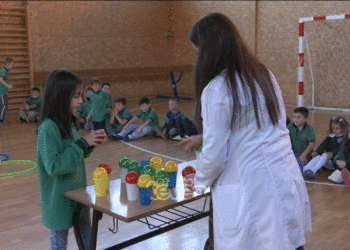 Si po shkon mbarëvajtja e mësimit tërëditor në Prishtinë?