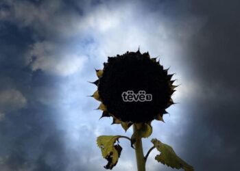 Mot me diell dhe vranësira gjatë javës