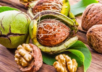 Dobitë shëndetësore nga vaji i arrës