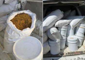 Dogana konfiskon mall me vlerë mbi 10 mijë euro