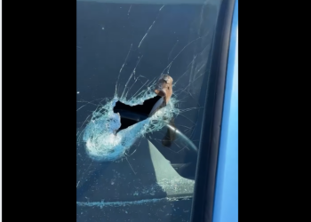 “Deklarim i rremë, mashtrim”, Lladrovci demanton lajmin se vetura e aktivistit Haradini është dëmtuar nga “njerëzit e tij”