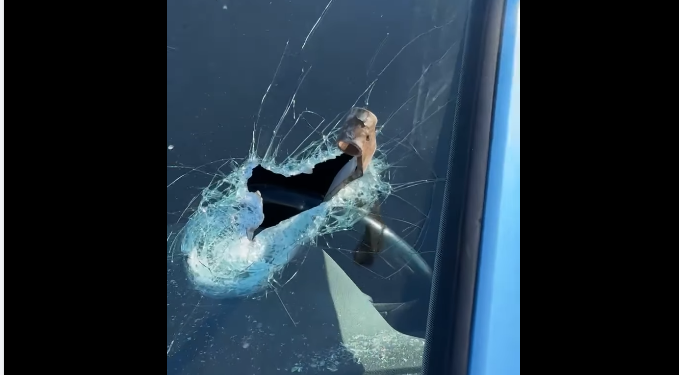 “Deklarim i rremë, mashtrim”, Lladrovci demanton lajmin se vetura e aktivistit Haradini është dëmtuar nga “njerëzit e tij”