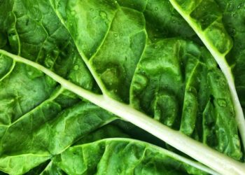 Dieta që ndihmon në menaxhimin e rezistencës ndaj insulinës