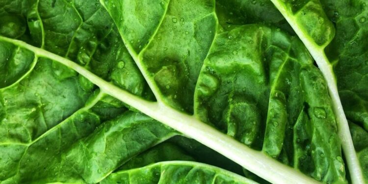 Dieta që ndihmon në menaxhimin e rezistencës ndaj insulinës