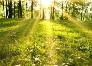 Parashikimi i motit për javën e ardhshme