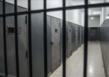 Kërkohet paraburgim për mësimdhënësen që dyshohet se mashtroi me subvencione