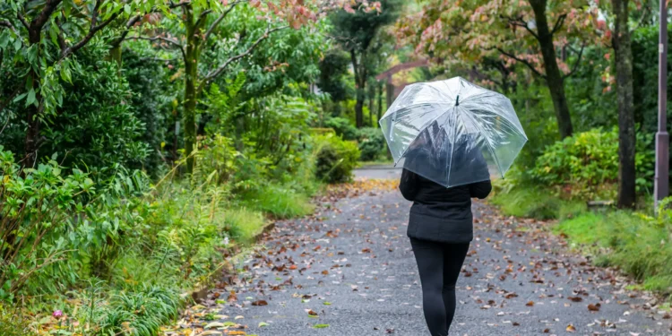 Të shëtisësh në natyrë – Zgjidhja më e mirë kundër stresit