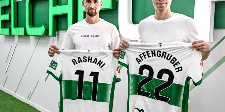 Rashani i gatshëm ta ndihmoj Elchen