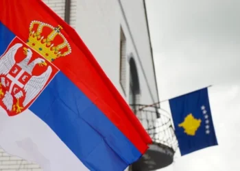 Serbia thotë se ushtarët afër kufirit penguan kontrabandën me drunj