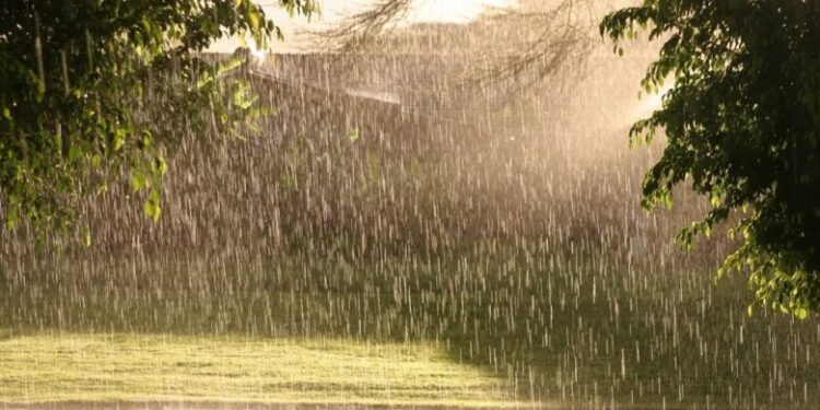 Parashikimi i motit për të mërkurën