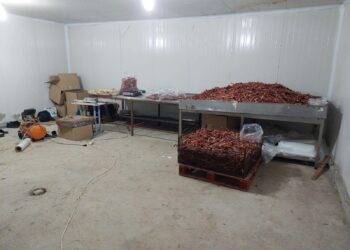 AUV mbyll një operator ilegal që po merrej me trajtimin e nënprodukteve shtazore