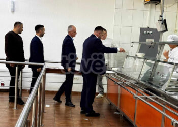 Çka “po zihet” në FSK?