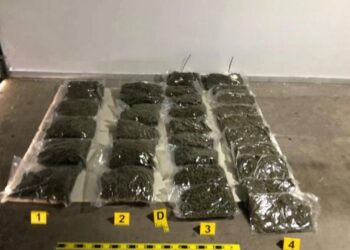 Arrestohen katër persona dhe konfiskohen dhjetëra kilogram substancë narkotike në dy operacione policore