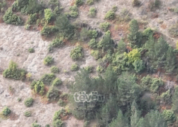 A do të gjykohen në mungesë të akuzuarit e Banjskës?