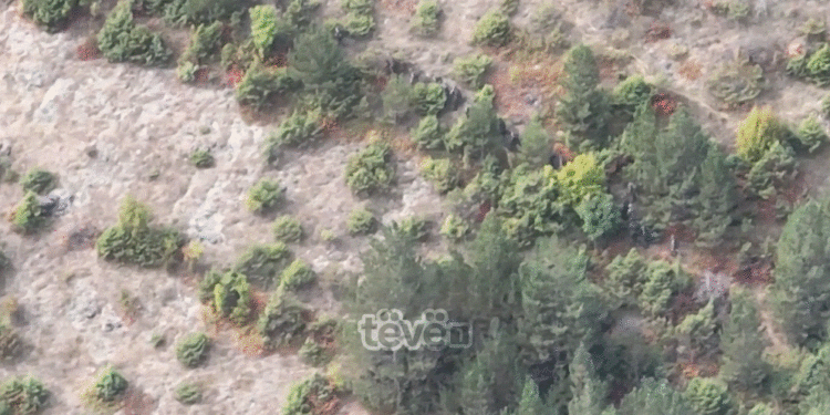 A do të gjykohen në mungesë të akuzuarit e Banjskës?