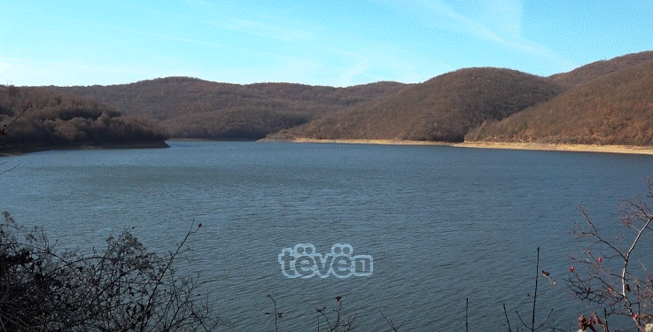 Osmani takon liderë botërorë në samitin e krerëve të shteteve të Frankofonisë