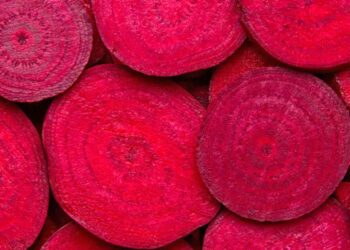 Çfarë ndodh në organizëm nëse hani panxhar çdo ditë