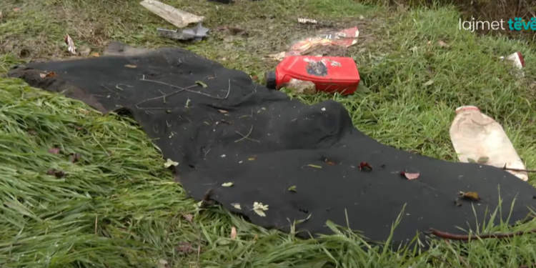 Detaje nga aksidenti tragjik ku humbën jetën tre të rinjtë në Liqenin e Badocit