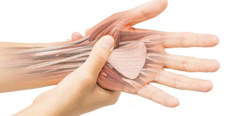 Dhimbjet e kyçeve – Ushqimet që nuk duhet të hani