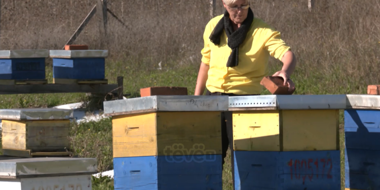 Njihuni me shkrimtaren Ymrije Beqiri, që pas punës çdo ditë punon në kopshtin e prindërve të saj