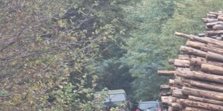 Lëvizjet e ushtrisë serbe afër kufirit, Kurtit i kërkohet të tregojë se çfarë masa ka marrë