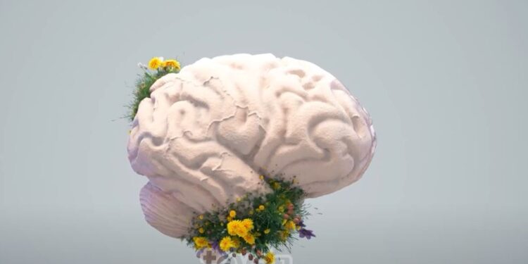 Shënohet Dita Botërore e Shëndetit Mendor në Kosovë