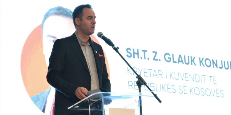 Konjufca: Dhuna në familje s’luftohet vetëm me mekanizma institucionalë, është përgjegjësi e përbashkët