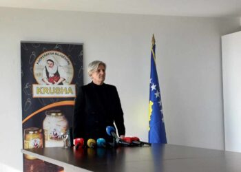 Hoti: Ministri Peci të kërkojë falje publike, nuk jam njollosur vetëm unë por edhe gratë e Krushës