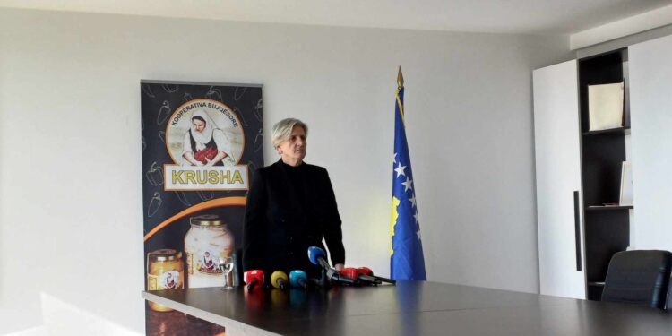 Hoti: Ministri Peci të kërkojë falje publike, nuk jam njollosur vetëm unë por edhe gratë e Krushës