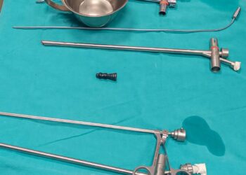 11-vjeçarit i hiqet një figurë e shahut nga rrugët e frymëmarrjes