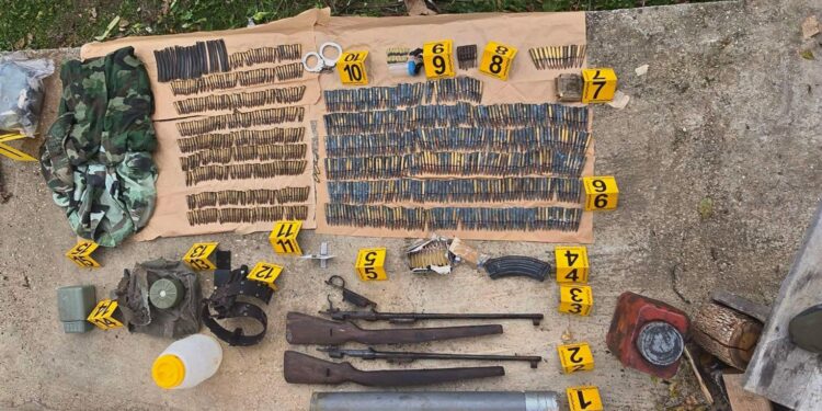 ​Kapja e armëve të shumta në veri, reagon Kurti