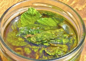 Bllokimi i hundëve – disa trajtime natyrale për lehtësim të menjëhershëm