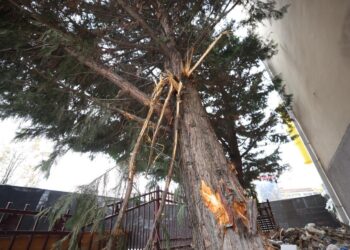 Zogaj: Prerja e drunjve tek Teatri Kombëtar, akt i pafalshëm