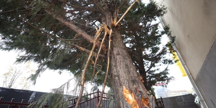 Zogaj: Prerja e drunjve tek Teatri Kombëtar, akt i pafalshëm